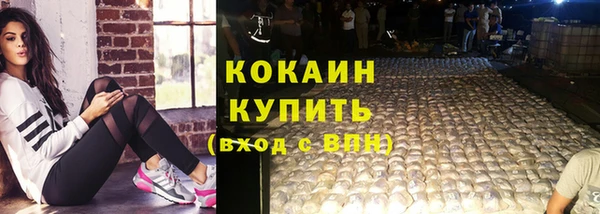 гашик Вязьма