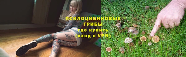 трава Нея