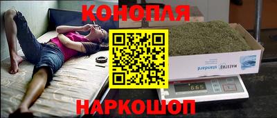 крисы Волгодонск