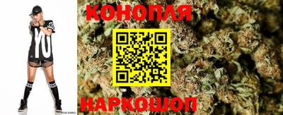 крисы Волгодонск