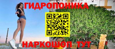 крисы Волгодонск