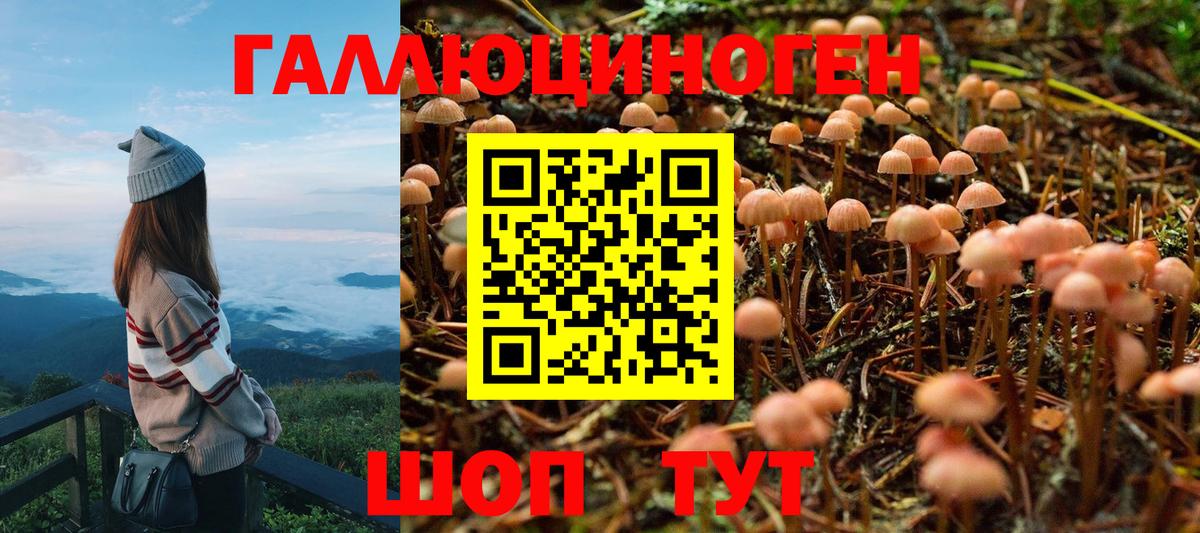 Псилоцибиновые грибы прущие грибы Дубна