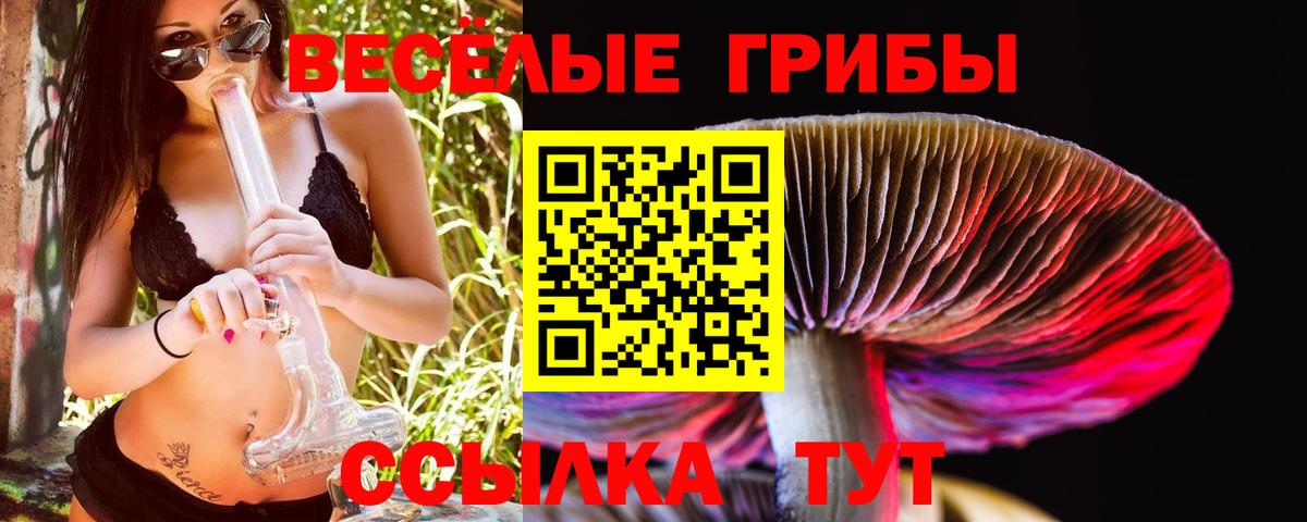 Галлюциногенные грибы Magic Shrooms Дубна