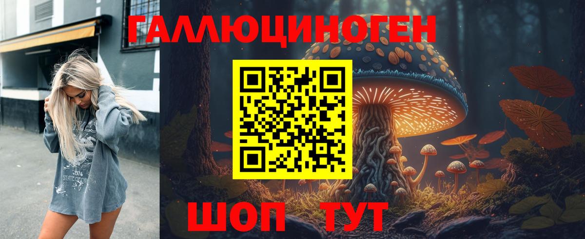 Дубна  Галлюциногенные грибы GOLDEN TEACHER  Вход с VPN 
