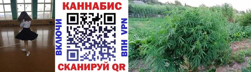 МАРИХУАНА SATIVA & INDICA Дубна