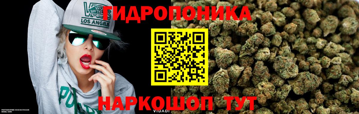 Конопля планчик  Дубна  Конопля MAZAR  Конопля OG Kush 